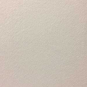 Meet your Posher, Antonette